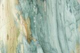 Freestanding Gary Green Jasper (Larsonite) Bog Wood - Oregon #377886-1